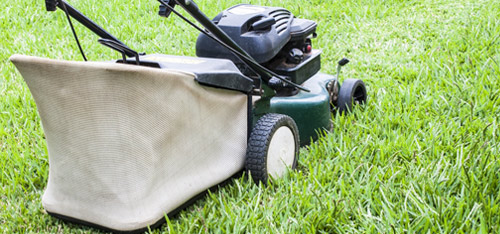 Grounds Maintenance Lawn Mowing