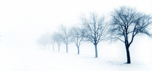 Snow Shoveling