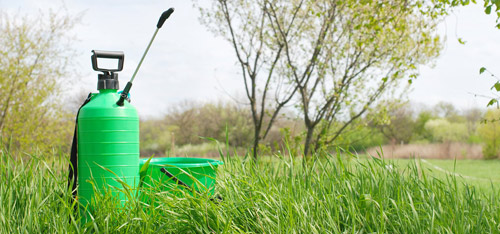 Weed Killer/Spraying