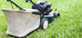 Grounds Maintenance Lawn Mowing